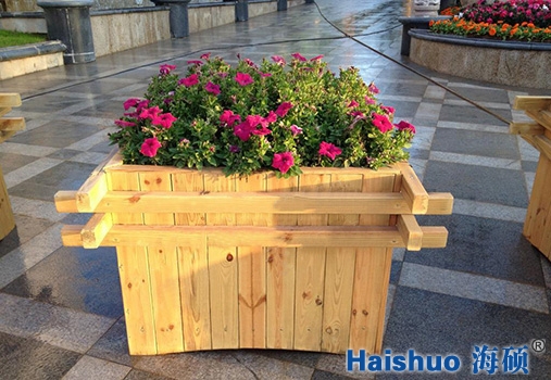 �������l(f��)���������ľ