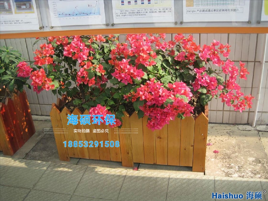 �������l(f��)���������ľ